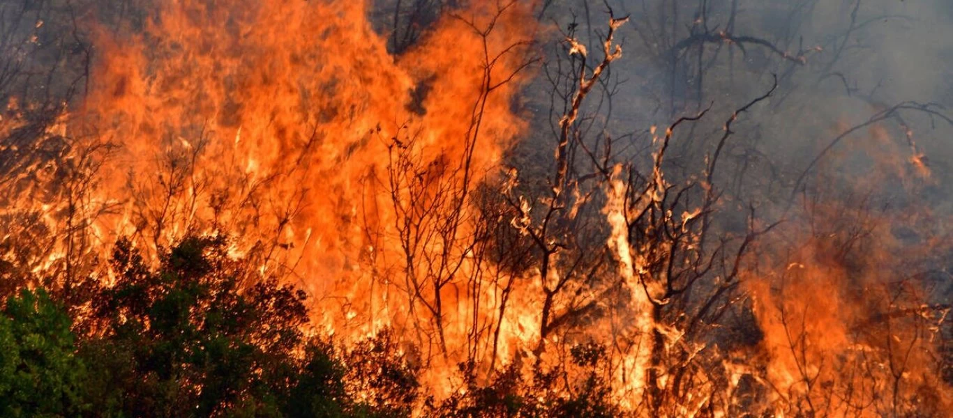 Πάνω από 1.500 πυρκαγιές εκδηλώθηκαν τον Αύγουστο - Λιγότερες οι καμένες εκτάσεις από πέρσι